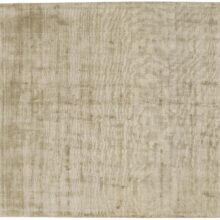 161-Toul-Bouch-ECHO-Camel