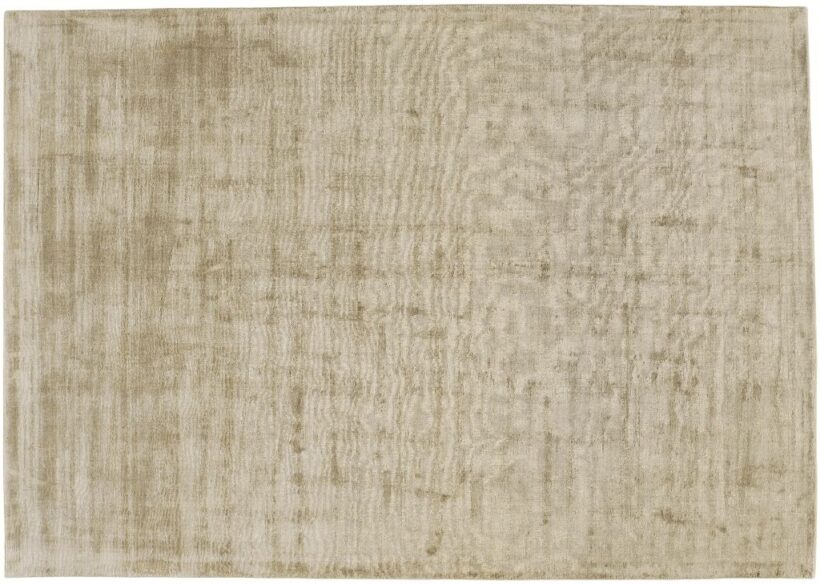 161-Toul-Bouch-ECHO-Camel