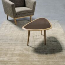 161-Toul.Boch.-ECHO-Amb